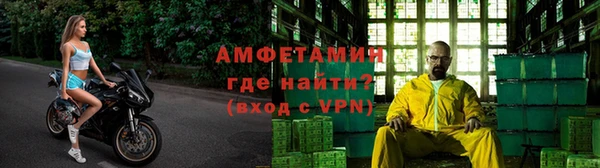 ПСИЛОЦИБИНОВЫЕ ГРИБЫ Алзамай