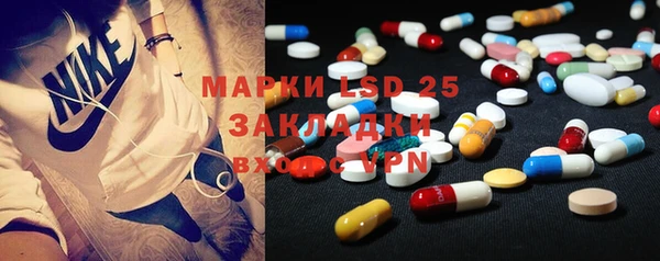 ПСИЛОЦИБИНОВЫЕ ГРИБЫ Алзамай